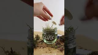 Diy Silvester Mitbringsel - Leuchtende Glückspilze Im Glas