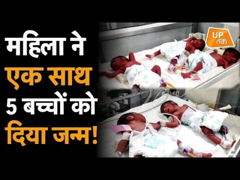 वीडियो: कोरी के समिया घाडी ने एक बच्चे को जन्म दिया है