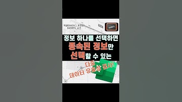 EXCEL_엑셀! 정보 하나를 선택하면 종속된 정보만 선택할 수 있게 만드는 다중 데이터 유효성 검사 만드는 법 알아보기! #shorts  #excel