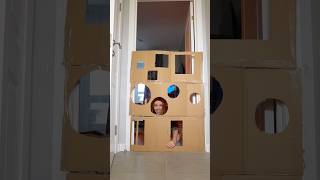 Хотите 2 часть?🤭🐾 #cat #cats #shorts