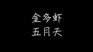 五月天 - 金多虾 (动态歌词)