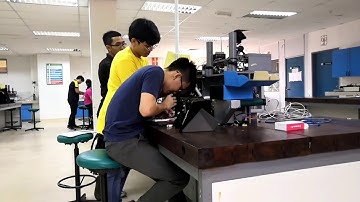 EMC 311 18/19 MECHATRONICS PROJECT GROUP M9