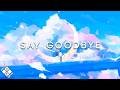 Nycta Say Goodbye 