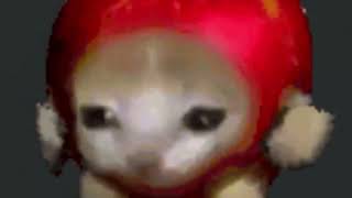 running apple cat 10hours