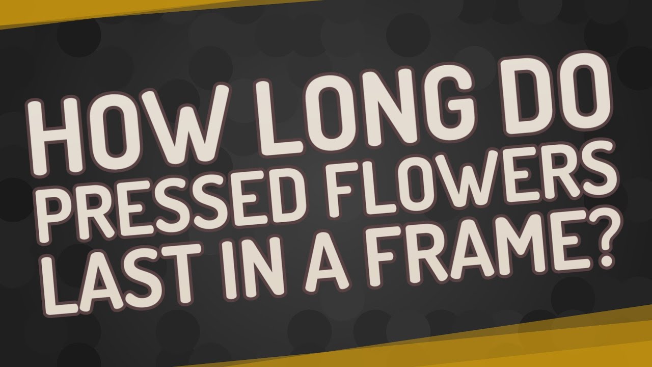 How long do pressed flowers last in a frame? YouTube