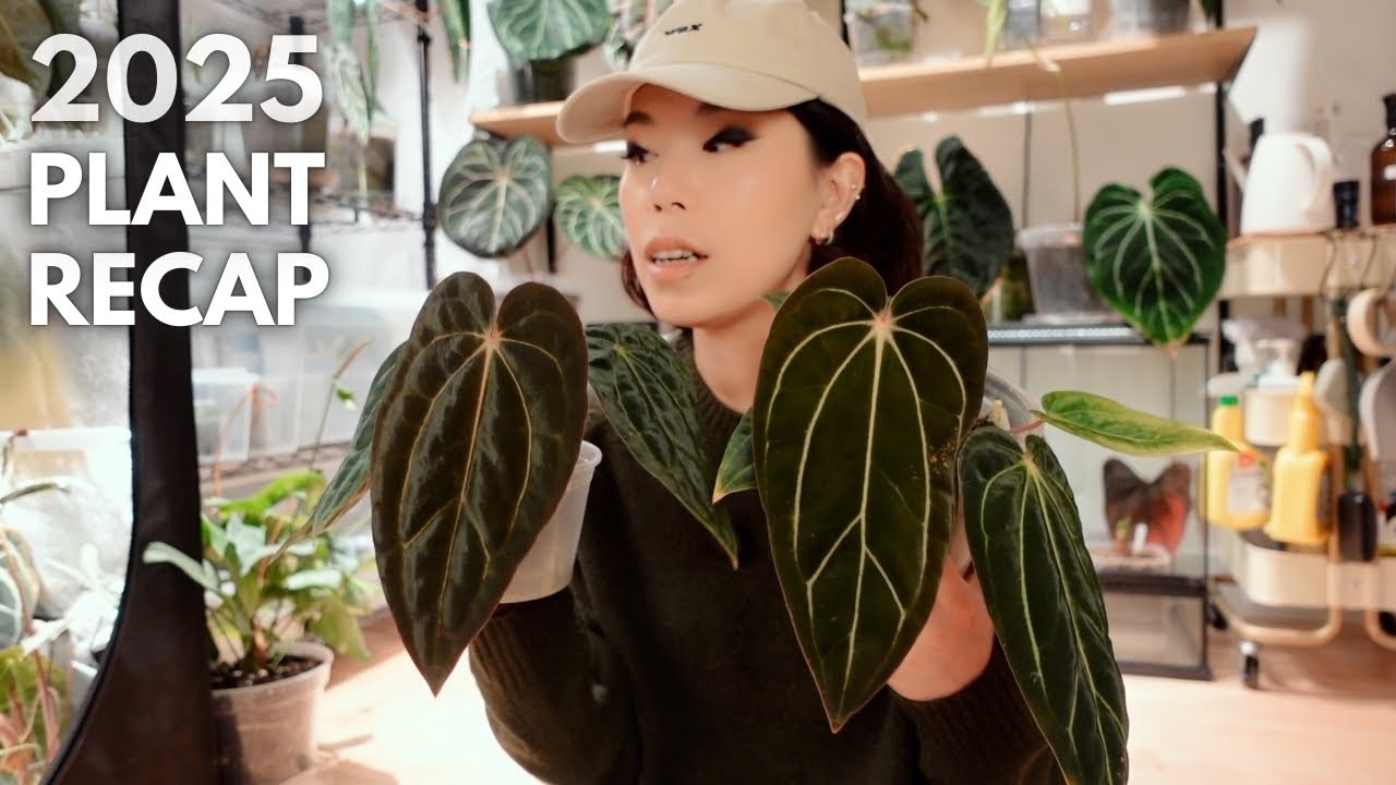 A recap of 2025 in plants 💚🥂 wins, fails, and life changes