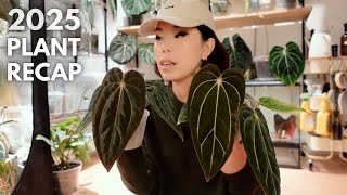 A recap of 2025 in plants 💚🥂 wins, fails, and life changes