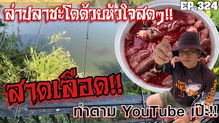 Splashing blood!! Catching Snakehead Fish with Chicken Hearts ?? |We are Angler EP:324