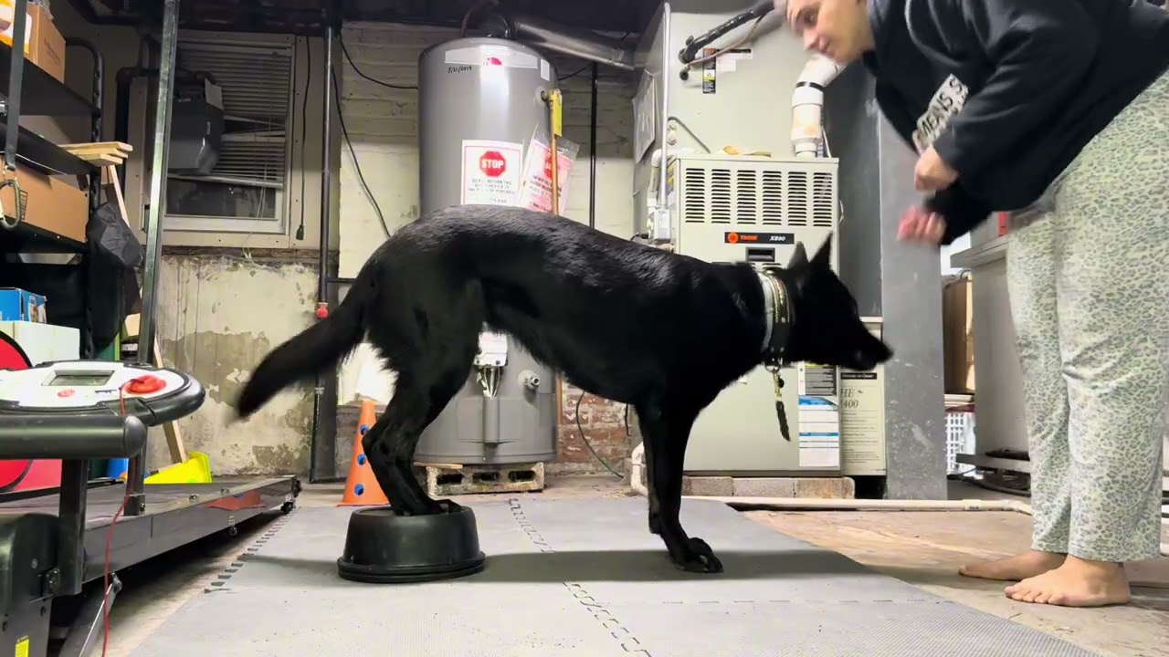 January Week 2: Fitness for Weaves Sesh 1