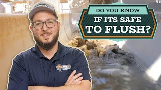 Stop the Clogs: Everyday Items You Should Never Flush or Drain!