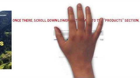 How To Bulk Register 500 Domains Names Fast