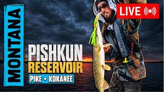 Northern Pike & Kokanee at Pishkun Reservoir Montana | FISHING MARATHON #LIVE #FISHING