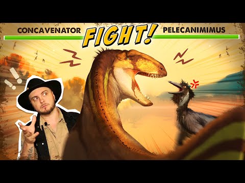 UN DINOSAURE PRÉDATEUR ÉTRANGE ET UNIQUE! - le concavenator