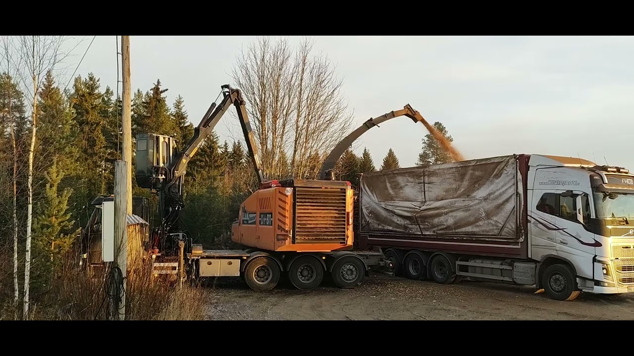 Karsimaton Ranka(harvennuslatvat + "roskapuut") - Hankinnalla Ite Tehty Ja Nyt Haketus