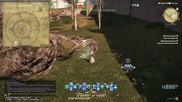 FFXIV Online Endwalker 6.0 Side Quest Wayward Carbuncle