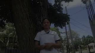 Group 5: Drone–Based Reforestation 