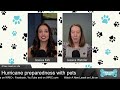A New Leash on Life: Prepping for a hurricane with pets