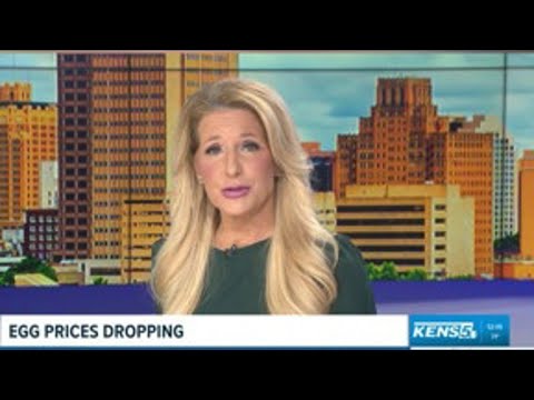 The price of eggs are down across the U.S