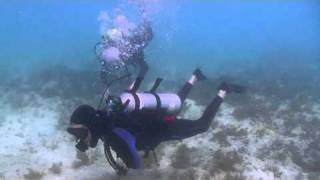 Instructor and Dive Shop Trim Leveler