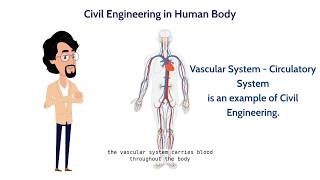 Human body and Engineering. The oldest Engineering Marvel.