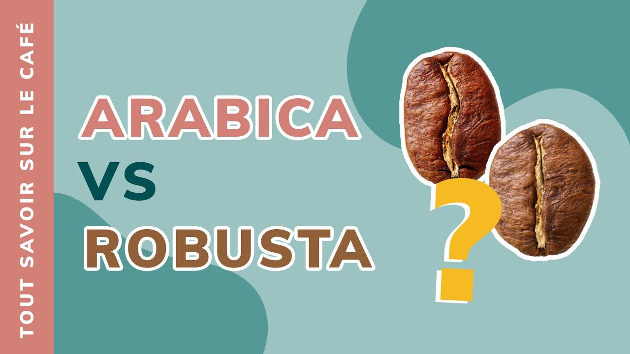 Café arabica et café robusta: quelle est la différence?