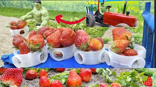 Diy tractor making strawberry farm | Farming Process Village life | Diy mini Farming| BGCreator