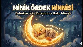 🦆 Minik Ördek Ninnisi (Duck Lullaby) | Uyutan Çocuk Şarkısı | Baby Sleep Music