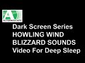 Howling Wind Nature Sounds 🌨️ Blizzard Sounds 🌨️ Snow Storm DARK BLACK SCREEN TEN HOURS