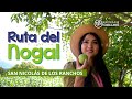 Video de San Nicolás de los Ranchos