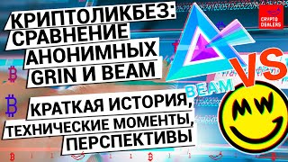Кто лучше? Криптовалюты Grin VS Beam