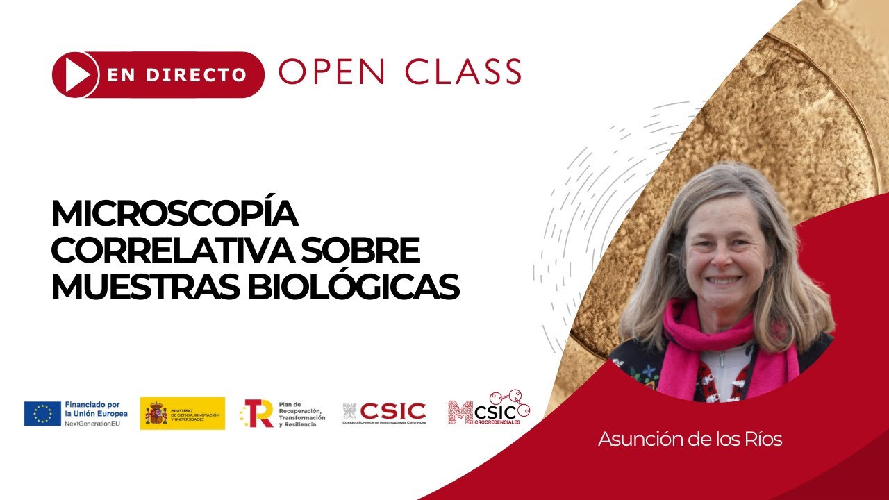 Open Class – Microscopía correlativa sobre muestras biológicas