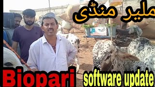 Malir Mandi today update,,beopari software also update