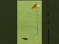 Long birdie for the hometown kid!