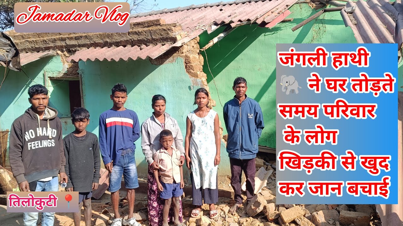 Jangali hathi ne ghar todha।। Elephant ।। Jangli hathi 