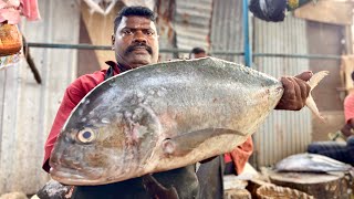 Kasimedu Selvam Trevally  Fish Cutting Video | UK SONS MARINE