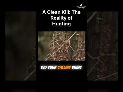A Clean Kill: The Reality of Hunting