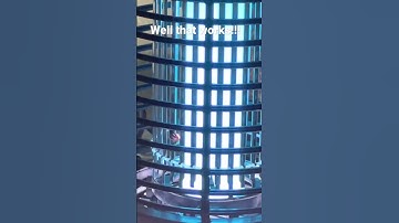 Luojibie Bug zapper in action!