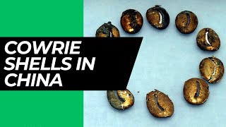Cowrie Shells in Ancient China 1200 BC