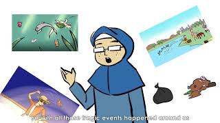 Innovation Management assignment: Zenith Bin