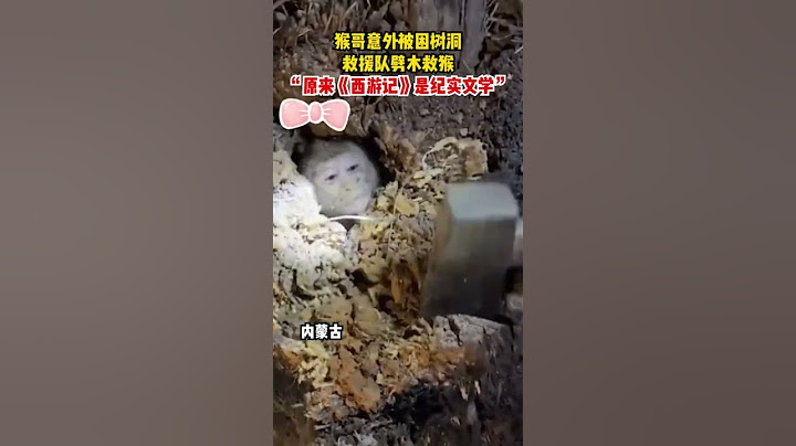 像极了西游记里唐僧在五指山救孙悟空#funnyvideo #funnymoments #funnyshorts #funnyvideos #孙悟空 #西游记