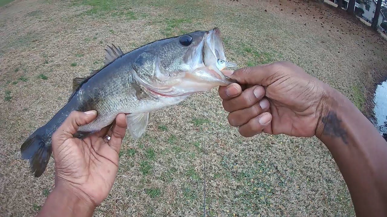 Winter Bass Fishing in Destin FL ….. Surprise Catch!!!!