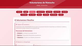 Voluntarismo de Nietzsche - Filosofía