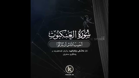 مقاطع قرآن قصيرة 💗 - بصوت عبدالرحمن مسعد - حالات واتس اب دينيه - تلاوة خاشعة ❤🍃