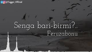 Feruzabonu - Senga bari-birmi