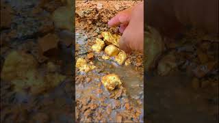 Humble Signs of Gold!