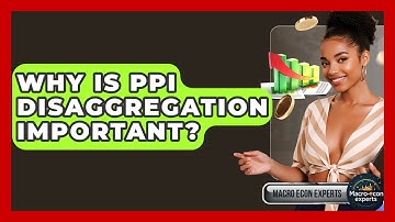 Why Is PPI Disaggregation Important? - Macroecon Experts