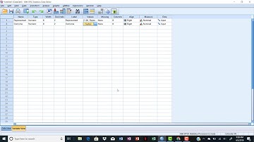 SPSS - Chi Square - Entering the Data