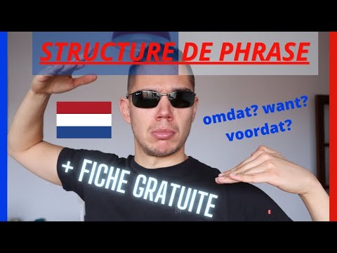 Comprendre la structure de phrase en néerlandais : omdat, want, als, wanneer + fiche gratuite ?