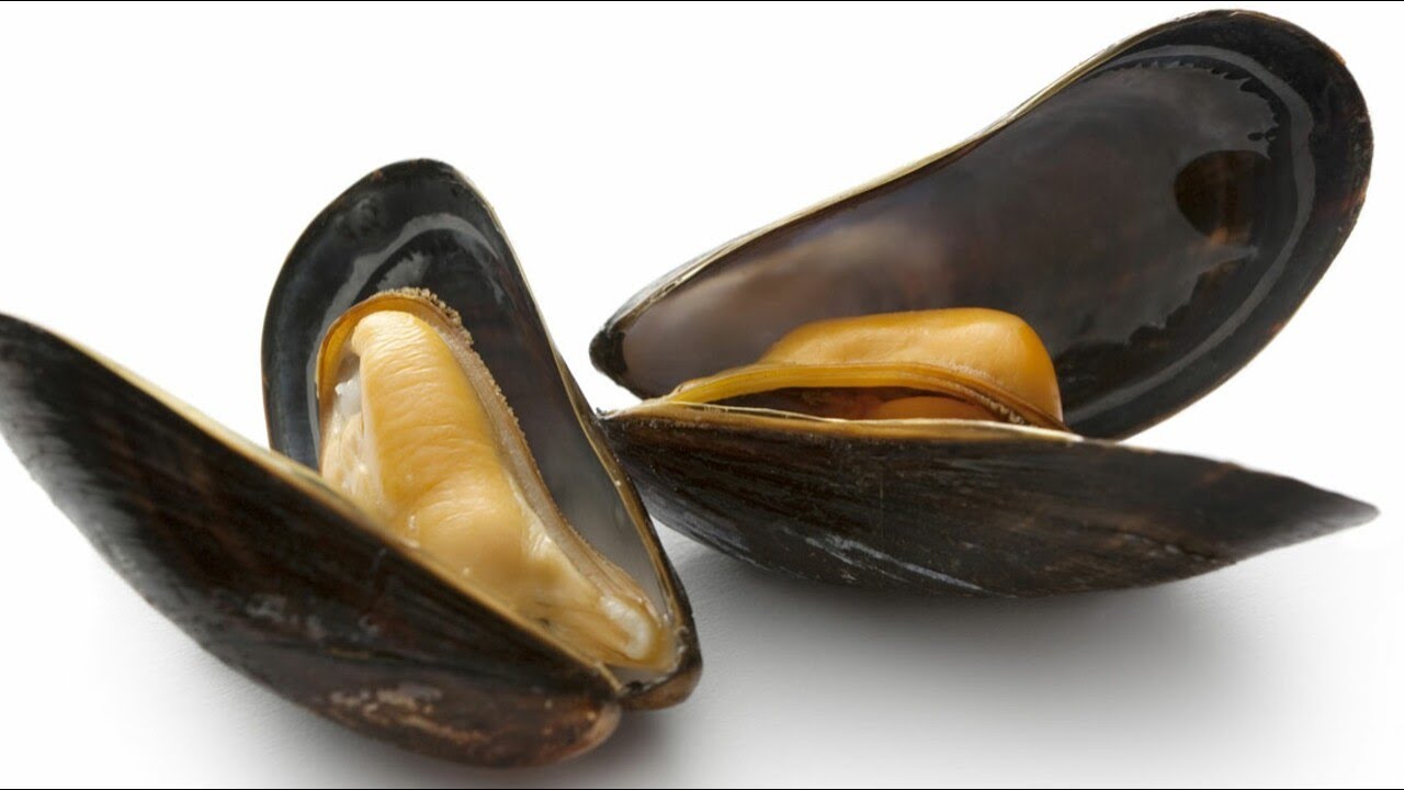 Recette : Moules farcies à la sétoise