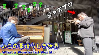 I played "What a Wonderful World" with a trumpeter I just met on the street